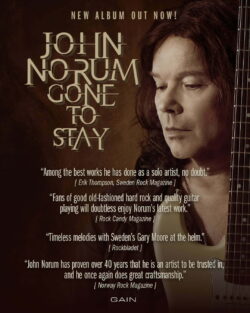 GONE TO STAY album reviews flyer GONE TO STAY album reviews flyer